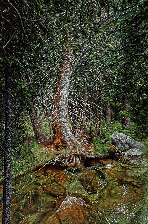 Mother Tree of the Tobacco Roots